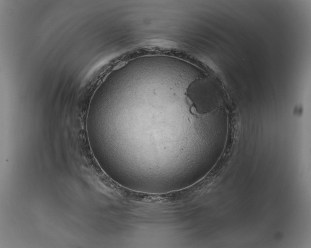 X0000111031112200906251258