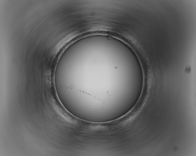 X0000111031113200906251258