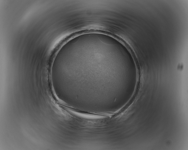 X0000111031115200906251258