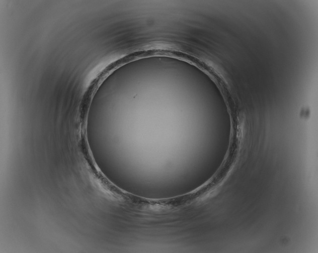 X0000111031117200906251258