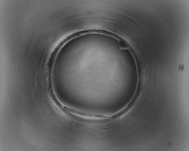 X0000111031118200906251259