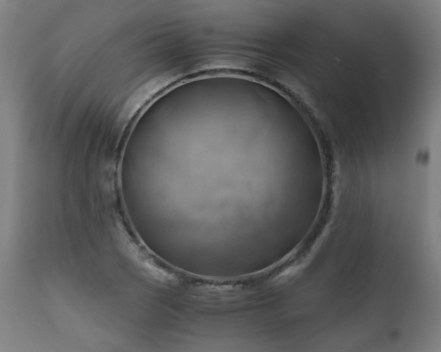 X0000111031121200906251259
