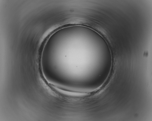 X0000111031122200906251259