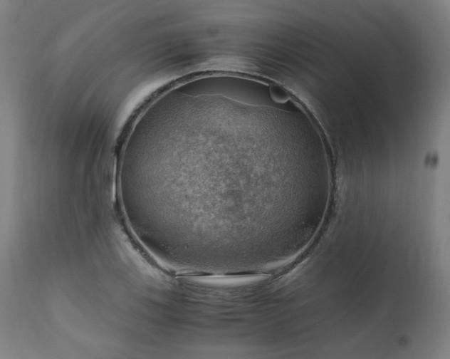 X0000111031123200906251259