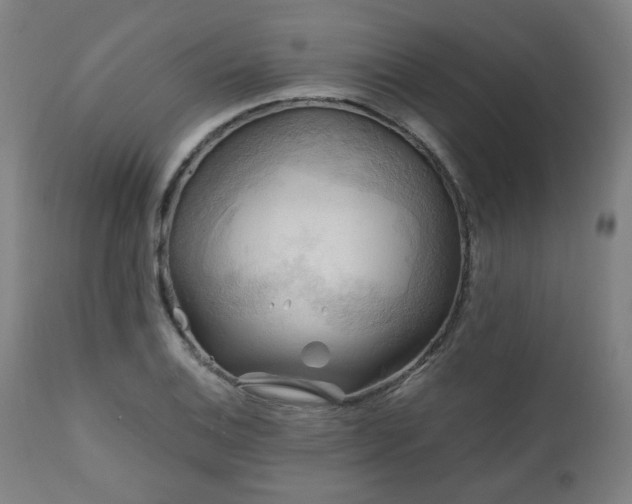 X0000111031124200906251259