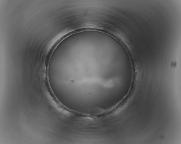 X0000111031125200906251259