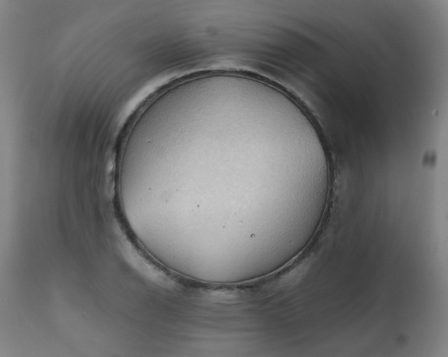 X0000111031126200906251259