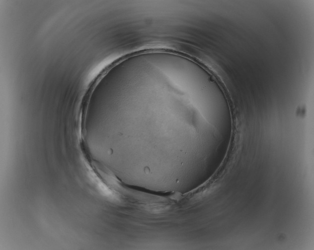 X0000111031127200906251259