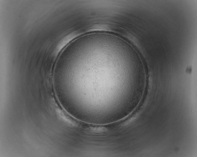 X0000111031129200906251259