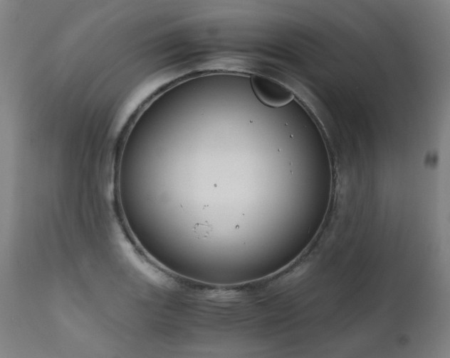 X0000111031131200906251259