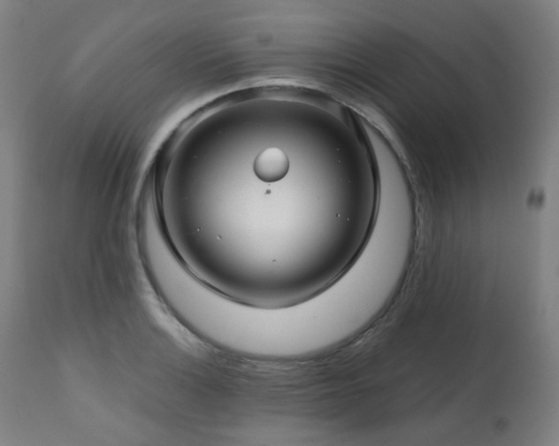 X0000111031132200906251259