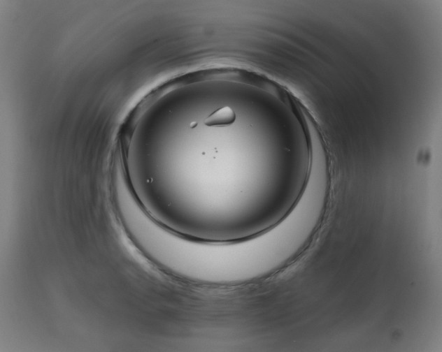 X0000111031134200906251259