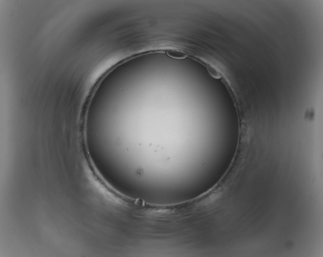 X0000111031135200906251259