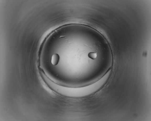 X0000111031136200906251259