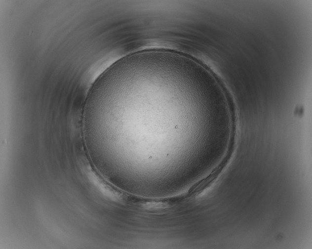 X0000111031137200906251259