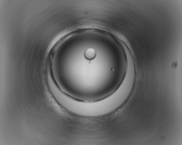 X0000111031138200906251259
