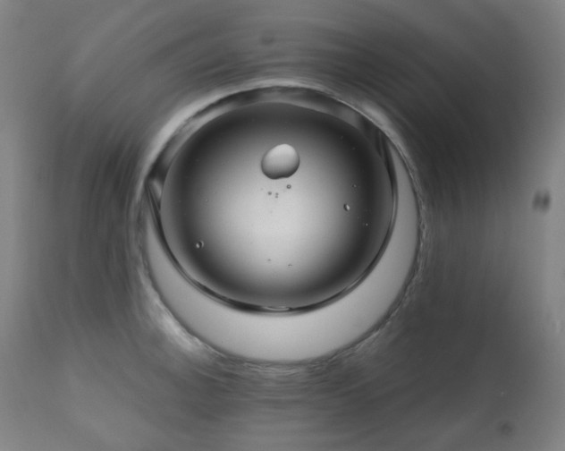 X0000111031140200906251259