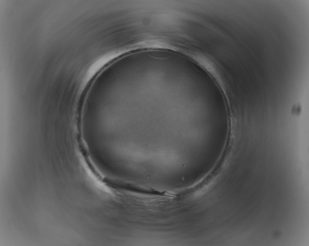 X0000111031141200906251259