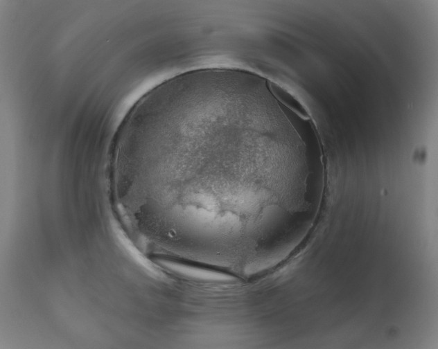 X0000111031142200906251259