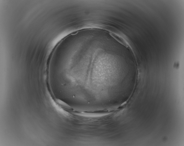 X0000111031143200906251259