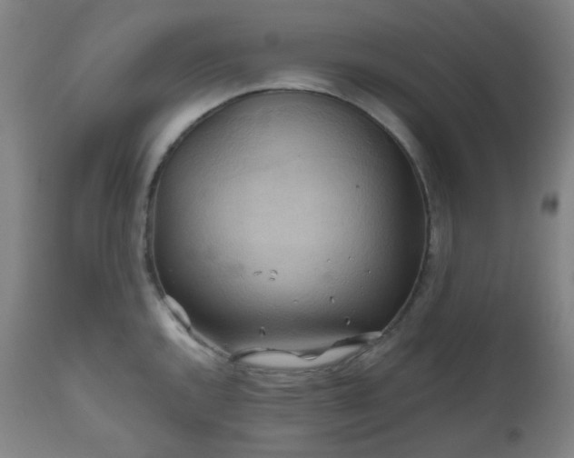 X0000111031144200906251259