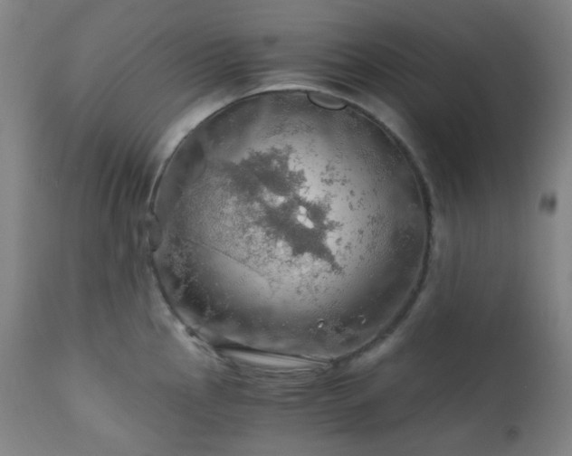 X0000111031145200906251259