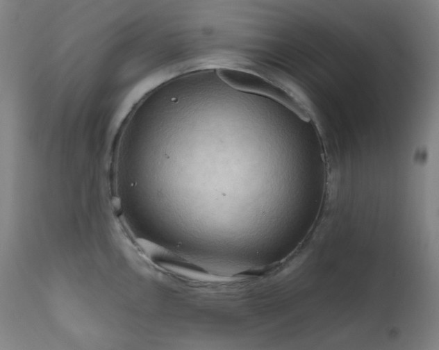 X0000111031146200906251259