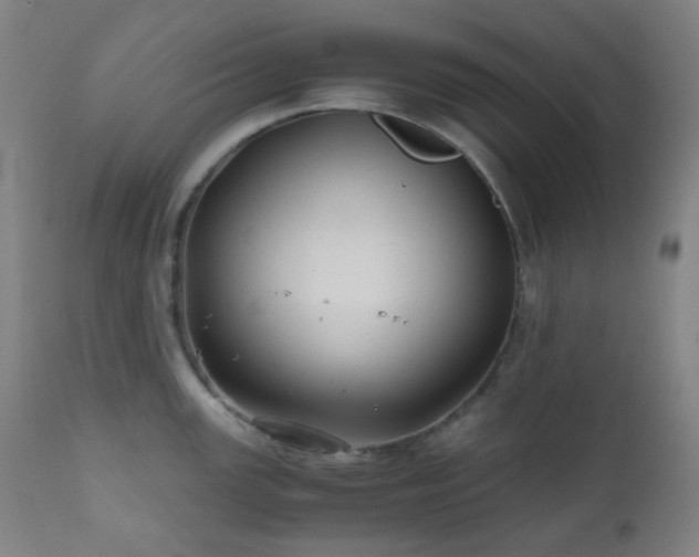 X0000111031147200906251259