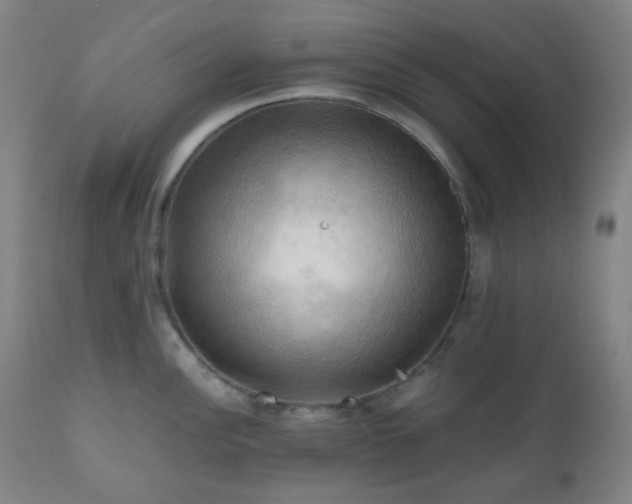 X0000111031148200906251259