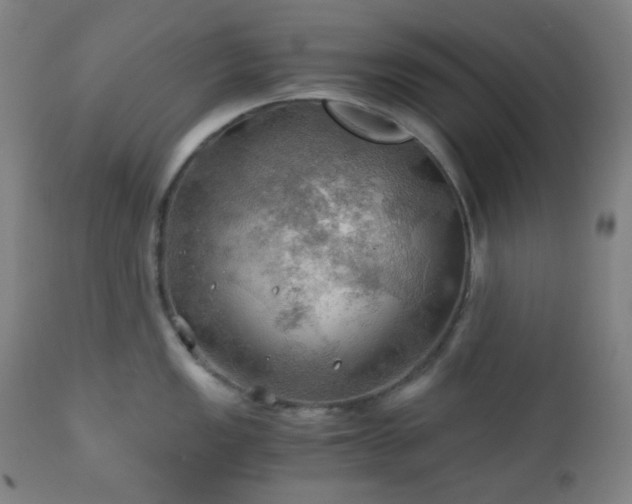X0000111031149200906251259