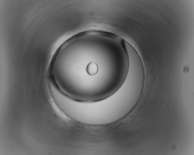 X0000111031152200906251259