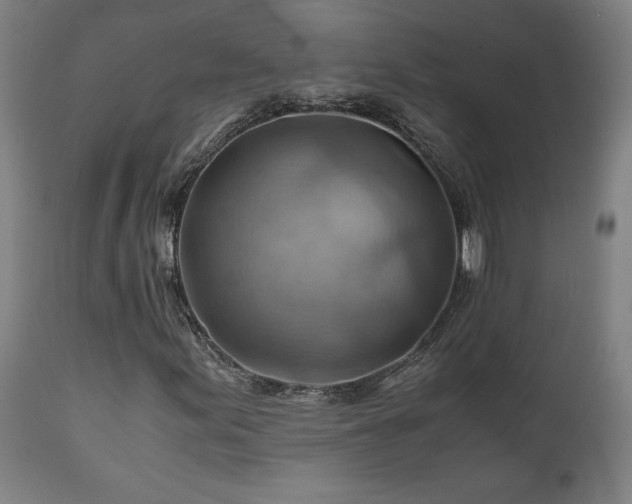 X0000111031155200906251258