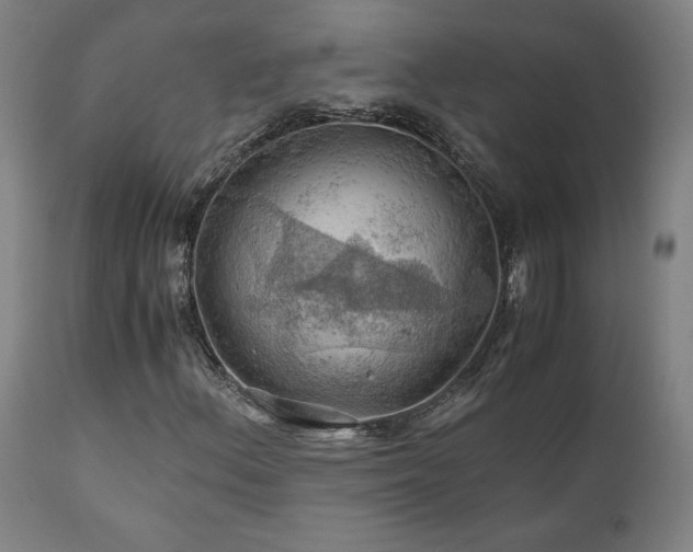X0000111031156200906251258