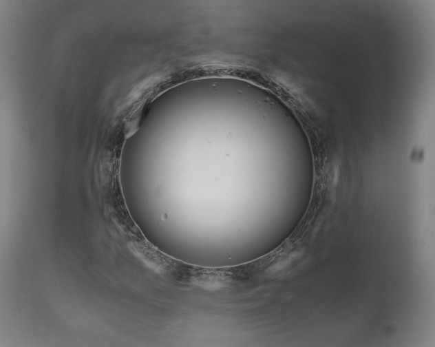 X0000111031157200906251258