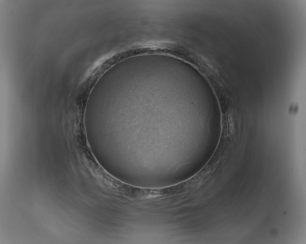 X0000111031158200906251258