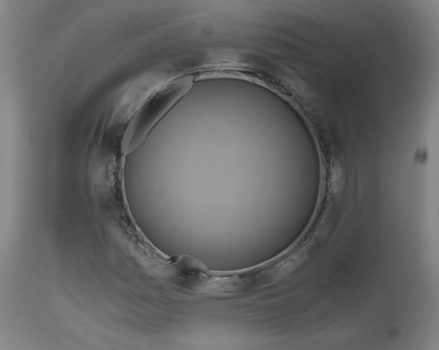 X0000111031161200906251258