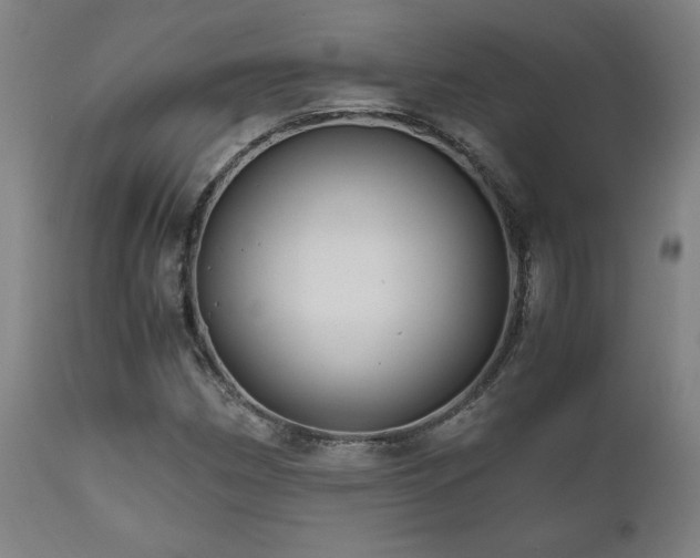 X0000111031162200906251258
