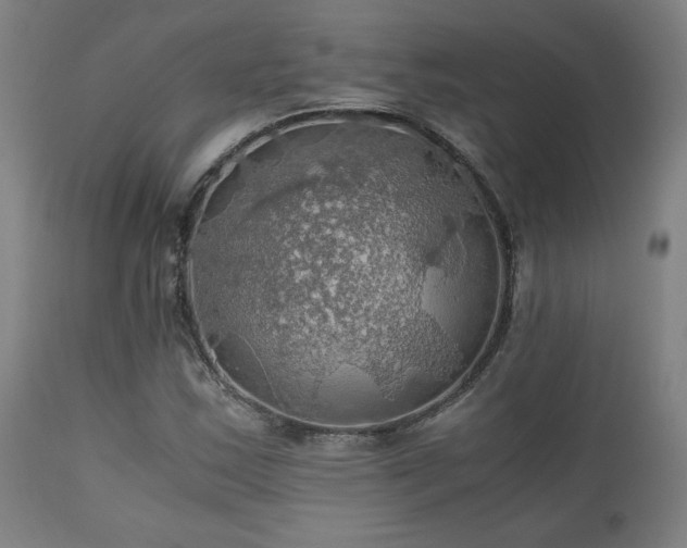 X0000111031163200906251258