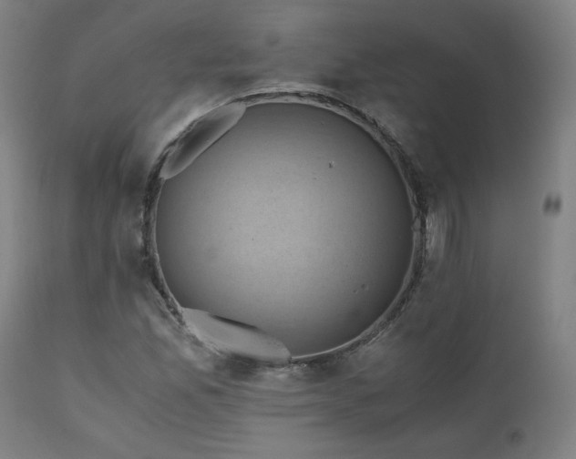 X0000111031165200906251258