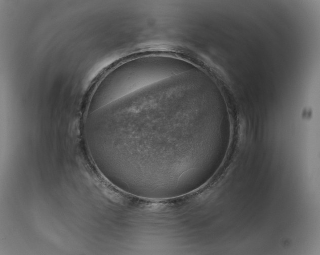 X0000111031166200906251258