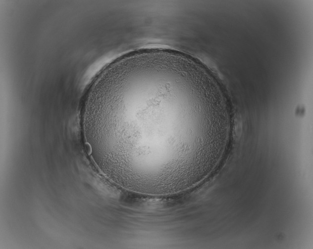 X0000111031167200906251258