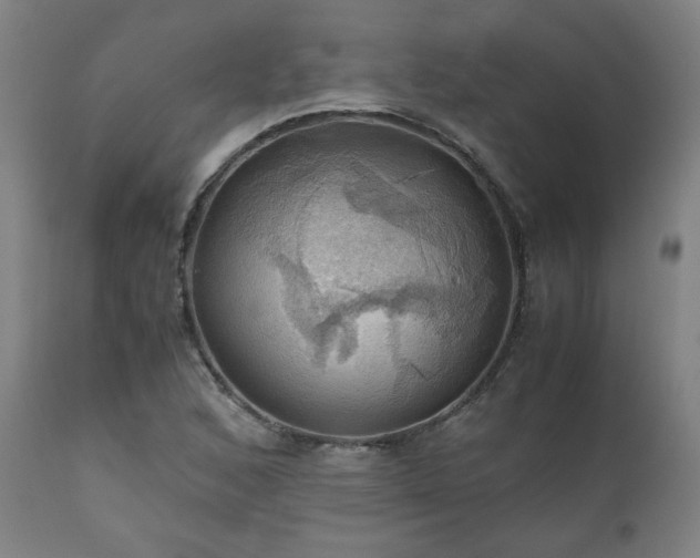 X0000111031168200906251258