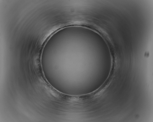 X0000111031170200906251258