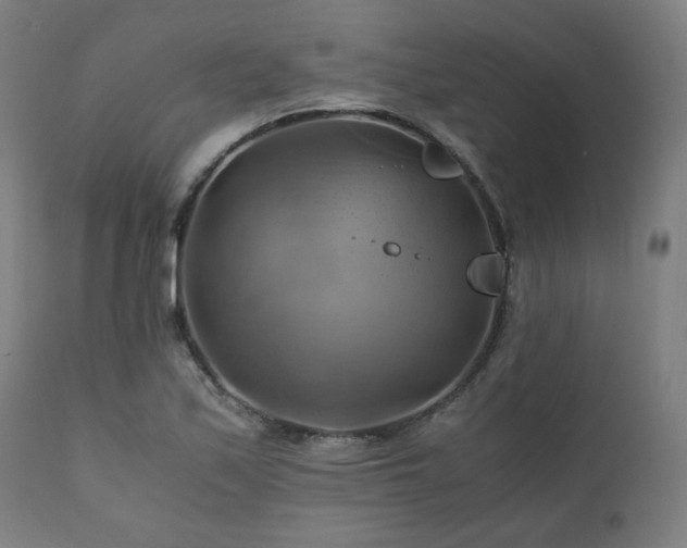 X0000111031171200906251258