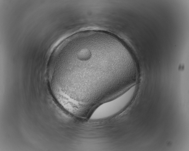 X0000111031173200906251258
