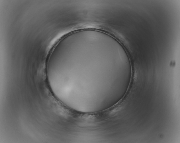 X0000111031174200906251258