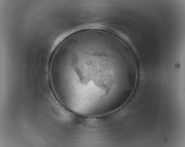 X0000111031176200906251258