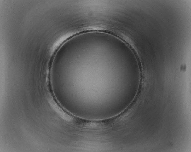 X0000111031179200906251258