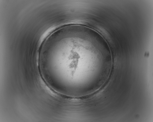 X0000111031180200906251258