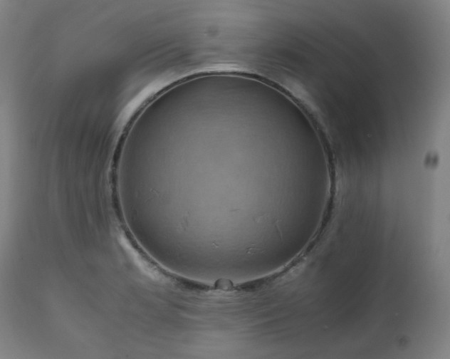 X0000111031181200906251258